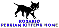 rosariopersiankittens.com